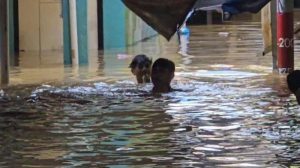 Banjir Kiriman dari Bogor Rendam Rumah Warga Bidara Cina Jakarta Timur