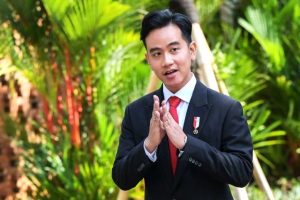 Presiden Tugaskan Gibran di Papua, Misi Khusus Membangun dan Menyelesaikan Isu HAM