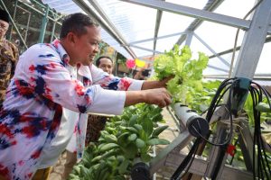 Wali Kota Bekasi Apresiasi Rumah Batik Lansia Selasih, Dorong Kreativitas dan Kemandirian Lansia